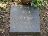 image of grave number 849731